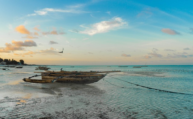 zanzibar's white beach